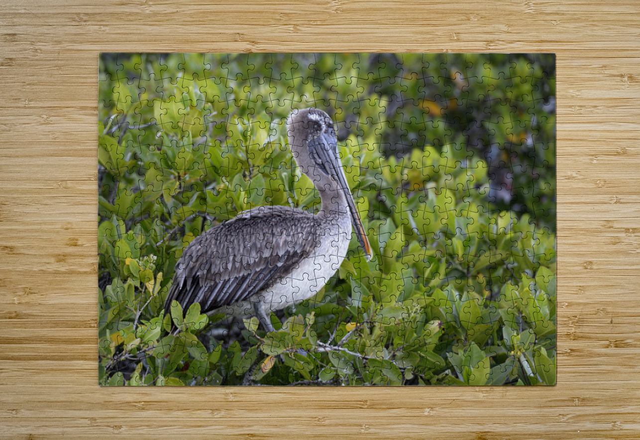 KO EC 7861 Kevin Oke Puzzle printing