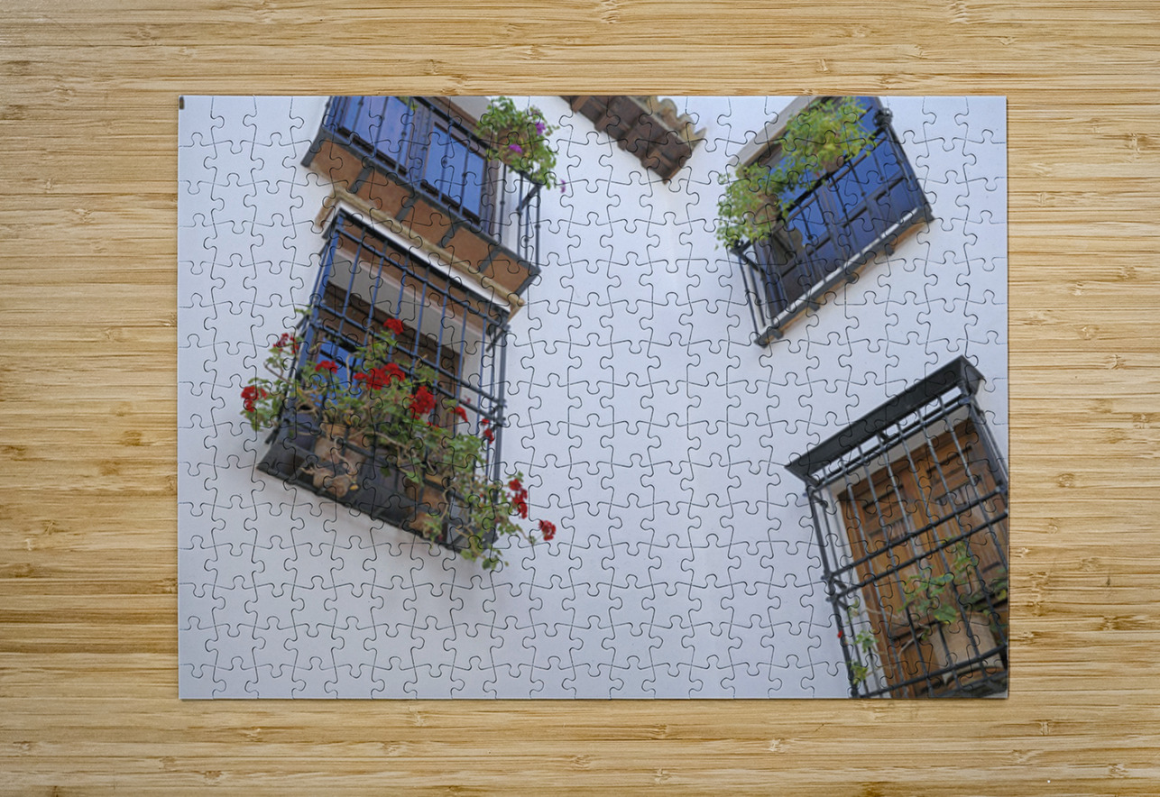 Windows with potted plants  Mondragons Palace Ronda Málaga Andalusia Spain Kevin Oke Puzzle printing