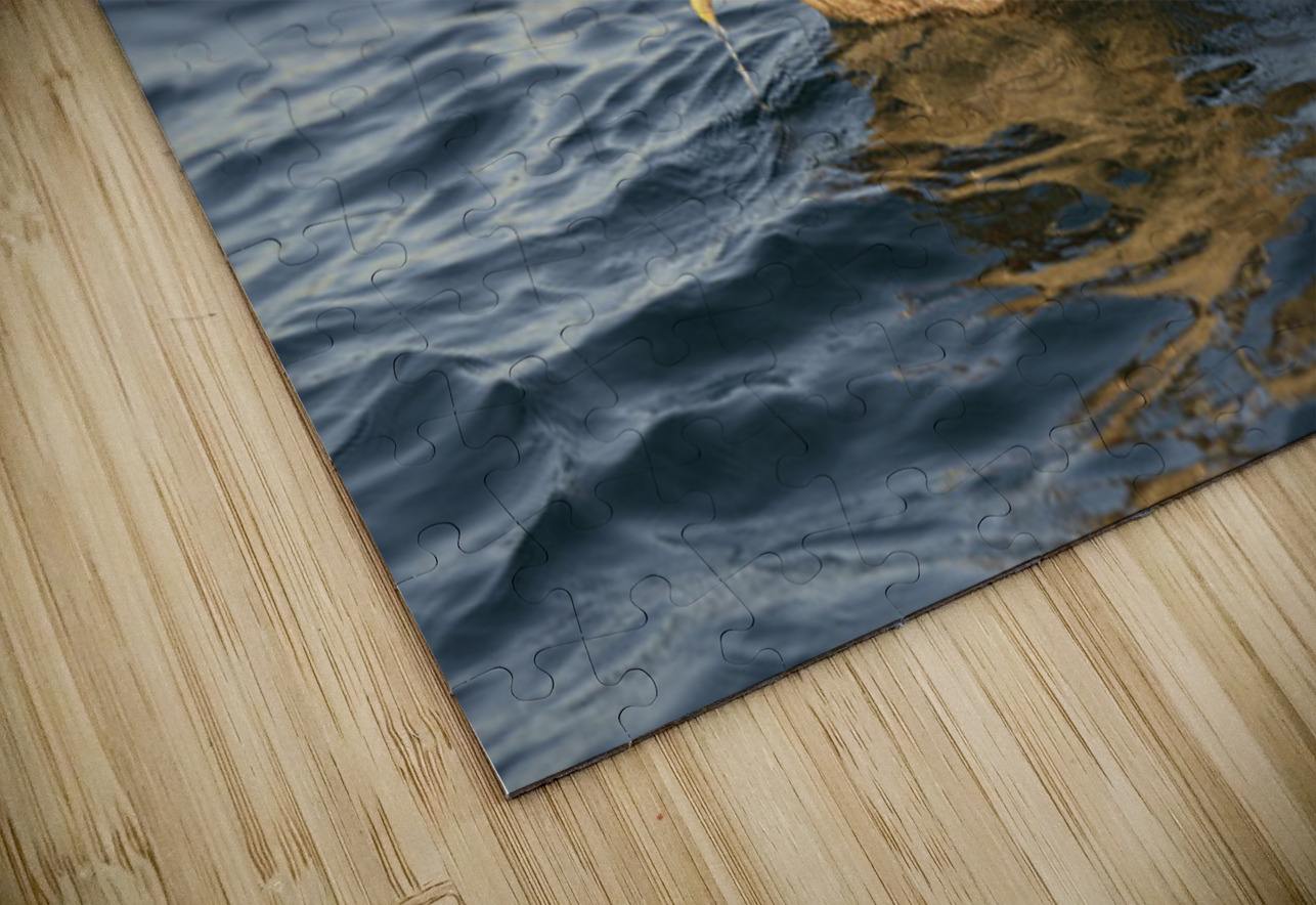 Brown Pelican  Kevin Oke Puzzle