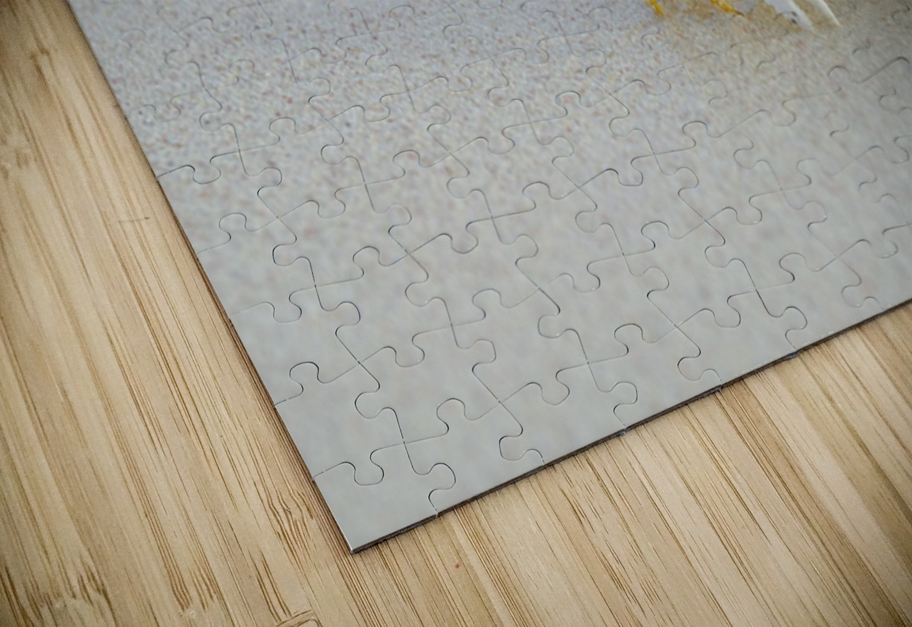 Ghost Crab Kevin Oke Puzzle