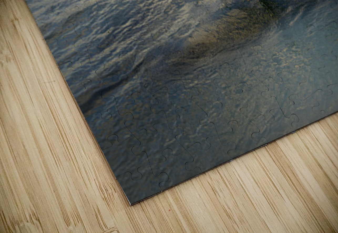 Old fence running into the ocean Kevin Oke Puzzle