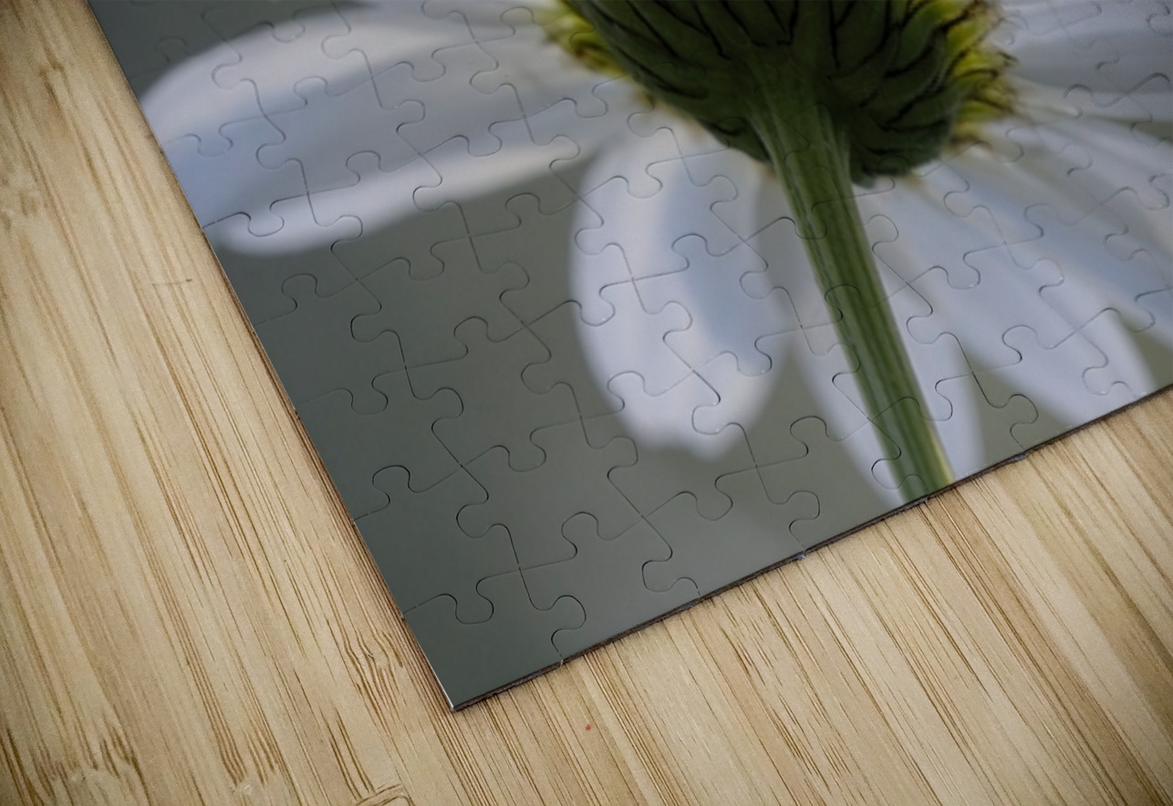 Daisy Cowichan Valley Vancouver Island British Columbia Canada Kevin Oke Puzzle