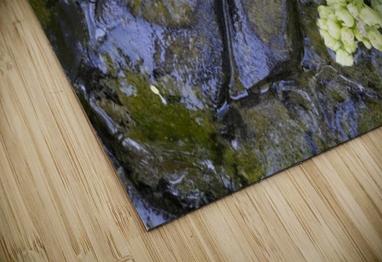 Big Leaf Maple Flower Cowichan Valley Vancouver Island British Columbia Canada Kevin Oke Puzzle