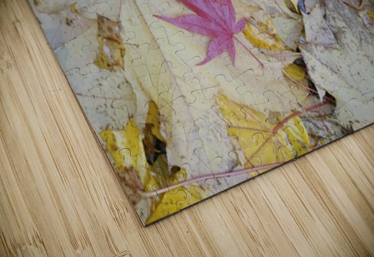 KO A04679 1 Kevin Oke Puzzle