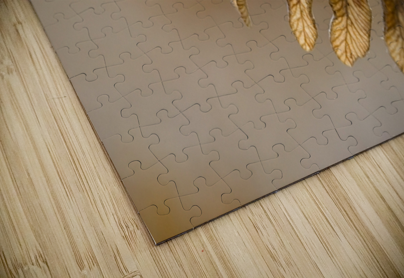 KO 50457 1 Kevin Oke Puzzle