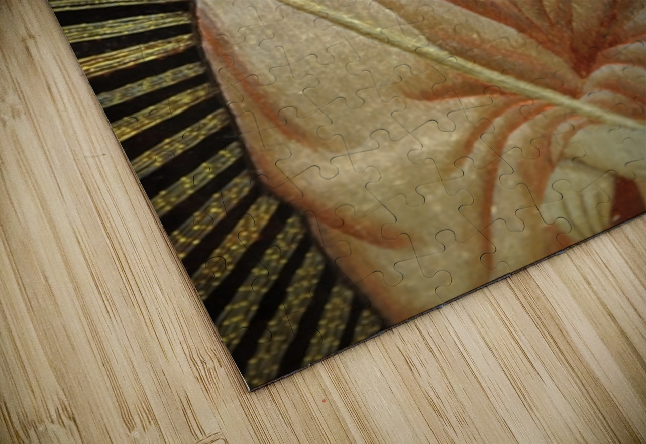 Notre Dame Cathedral Paris France Kevin Oke Puzzle