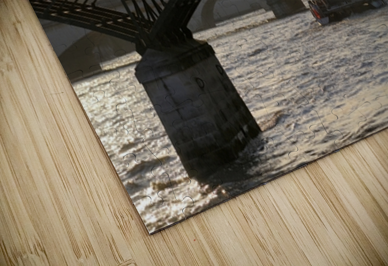 People taking in the view from Pont des Arts. Paris Kevin Oke Puzzle