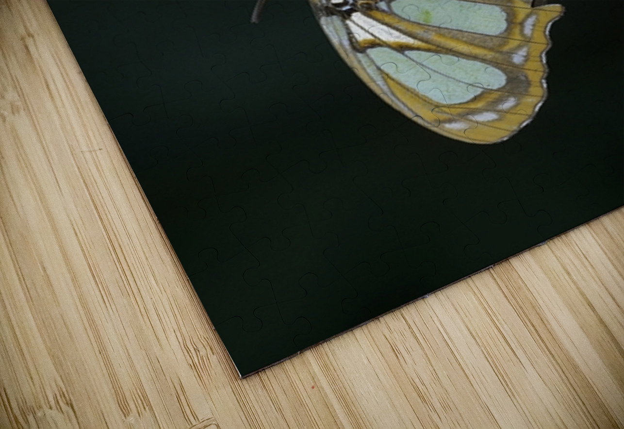 Butterfly at the La Selva Jungle Lodge butterfly farm Amazon Ecuador Kevin Oke Puzzle