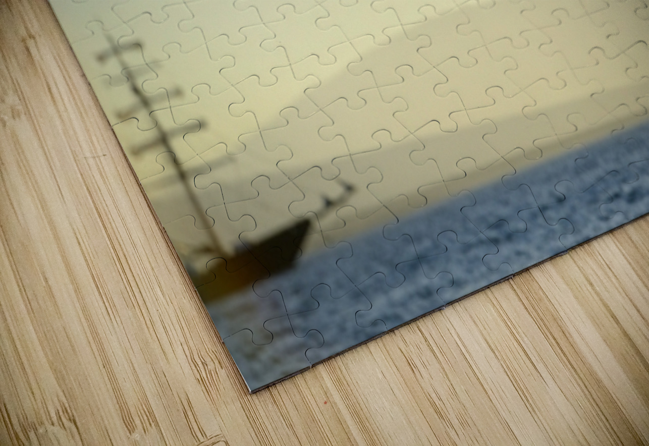 Brown Pelican Pelecanus occidentalis Elizabeth Bay Isabela Island Galapagos Islands Ecuador Kevin Oke Puzzle