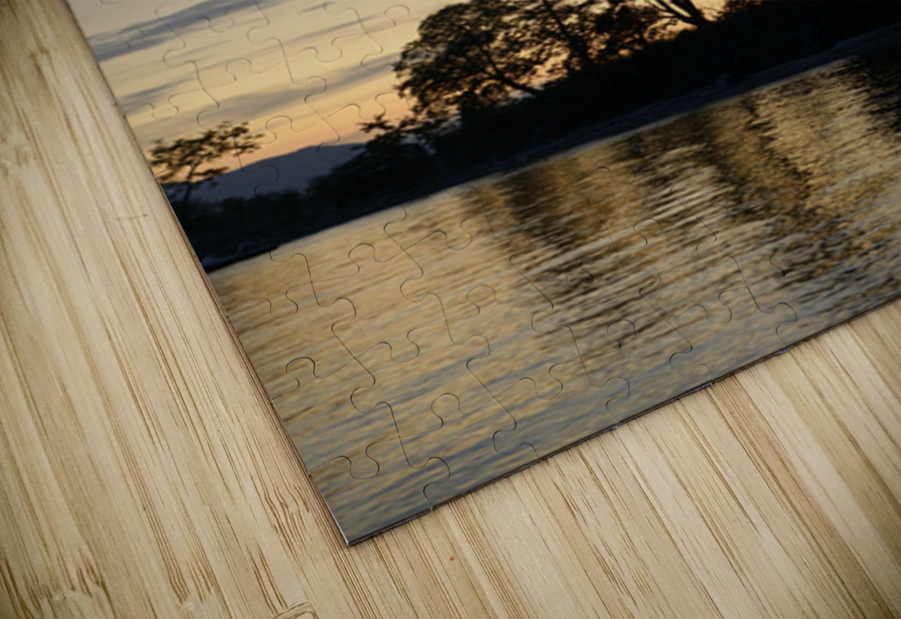 Silhouetted trees at sunset Kevin Oke Puzzle