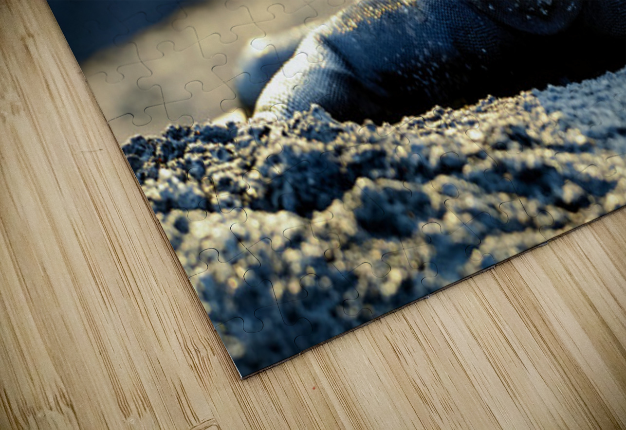 Marine Iguana perched on the rocks Punta Espinosa Kevin Oke Puzzle