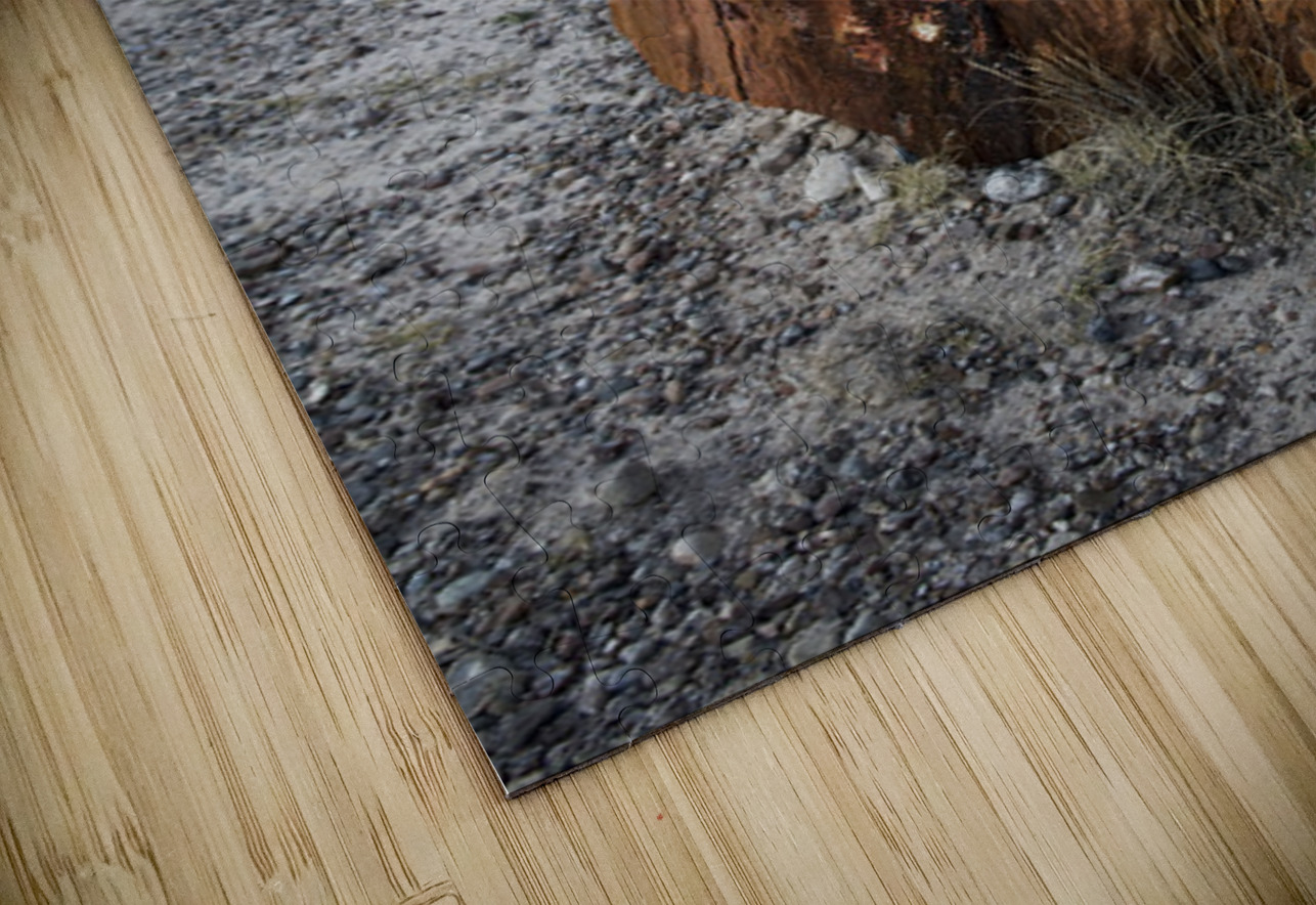 KO A98145 Kevin Oke Puzzle