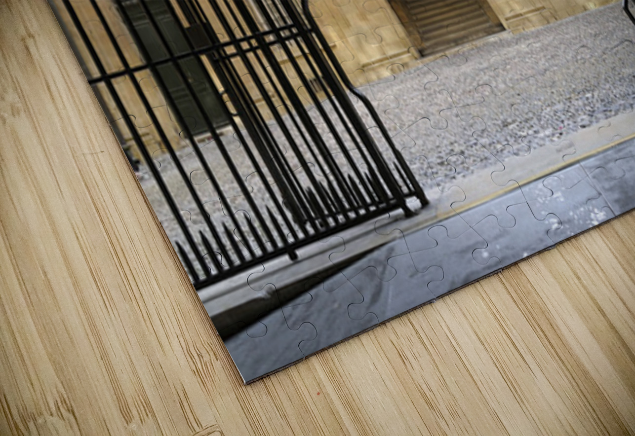 Entrance gate at the Hotel de Ville. Aix-en-Provence. France Kevin Oke Puzzle