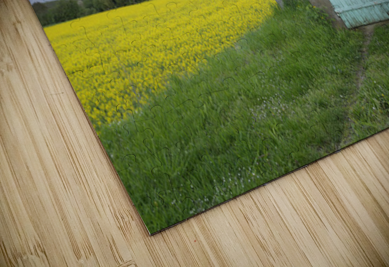 KO FR 08582 Kevin Oke Puzzle