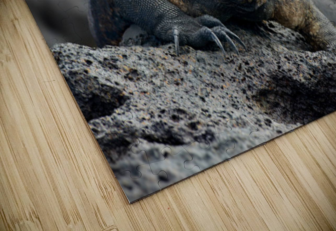 KO EC 9612 Kevin Oke Puzzle