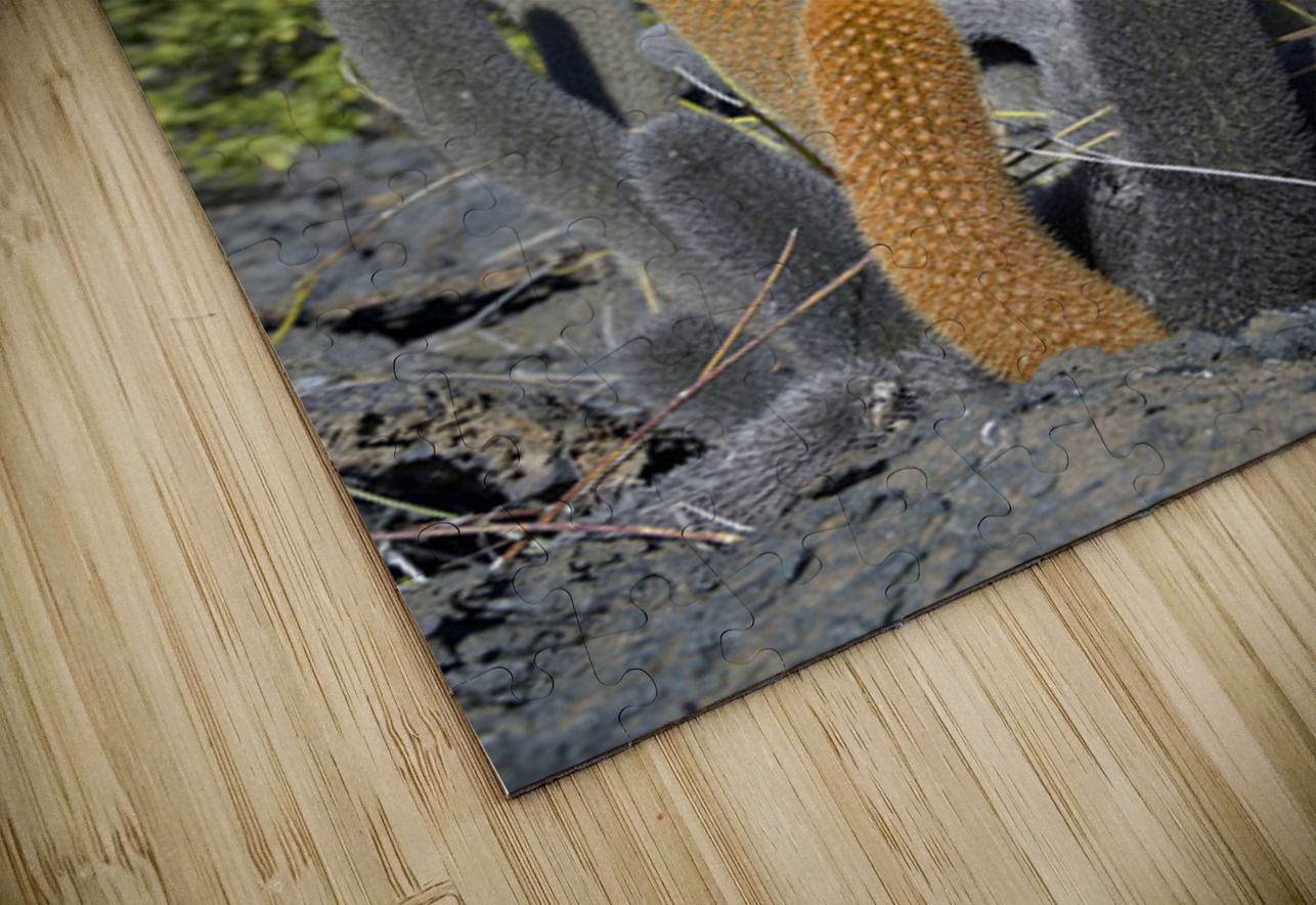 KO EC 8313 Kevin Oke Puzzle