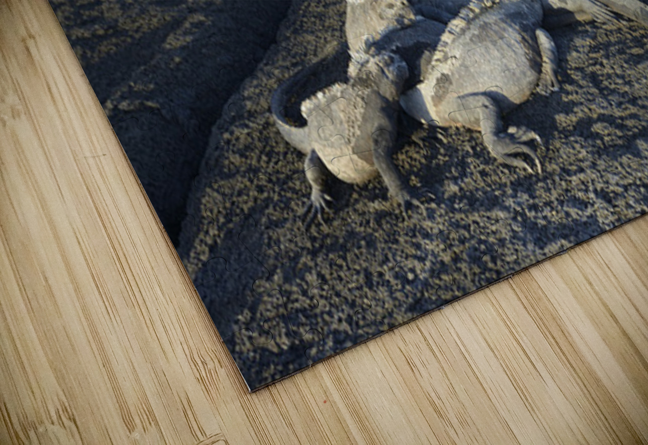 KO EC 10853 Kevin Oke Puzzle