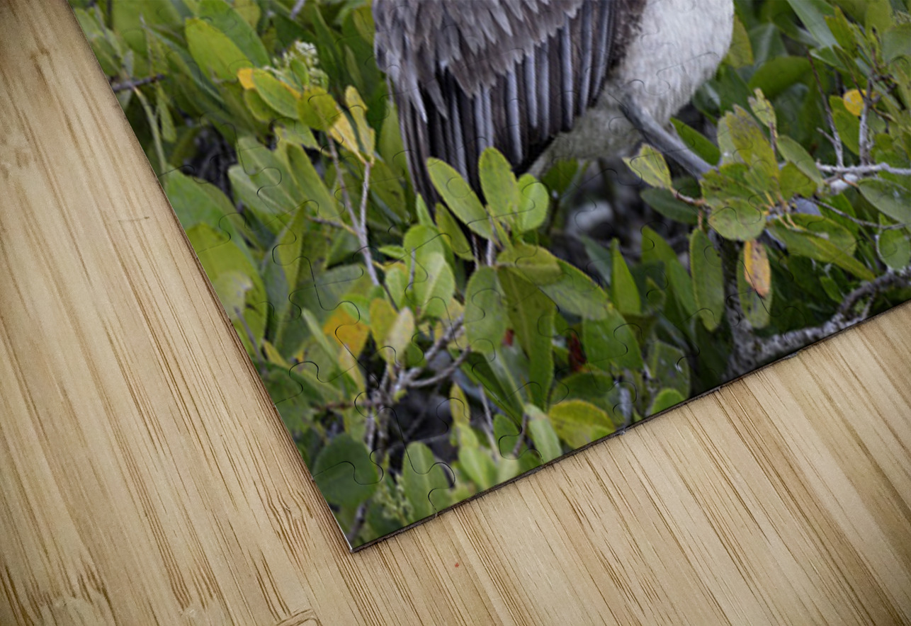 KO EC 7861 Kevin Oke Puzzle