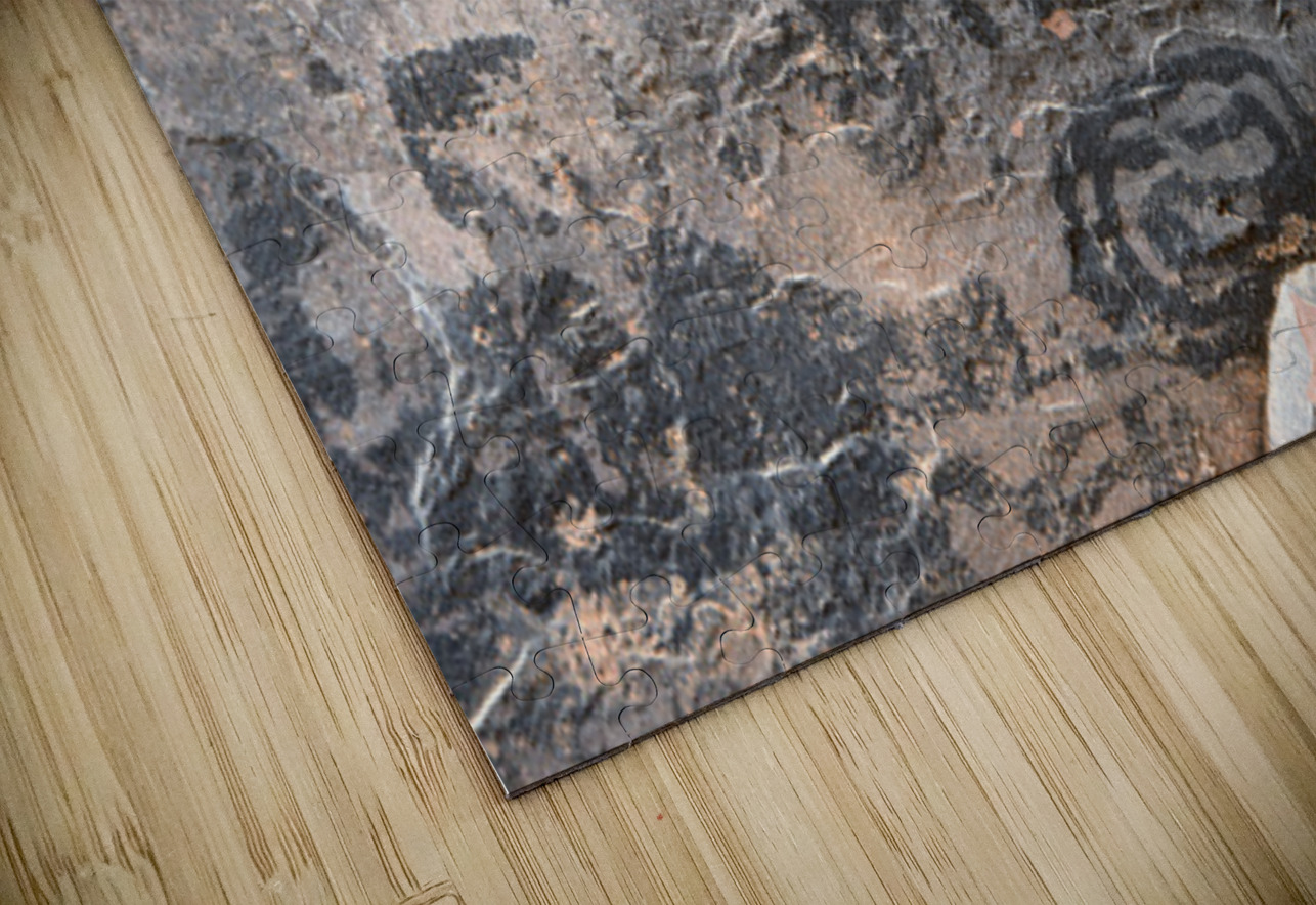 Black petroglyphs of animals Palatki Ruins Arizona USA Kevin Oke Puzzle