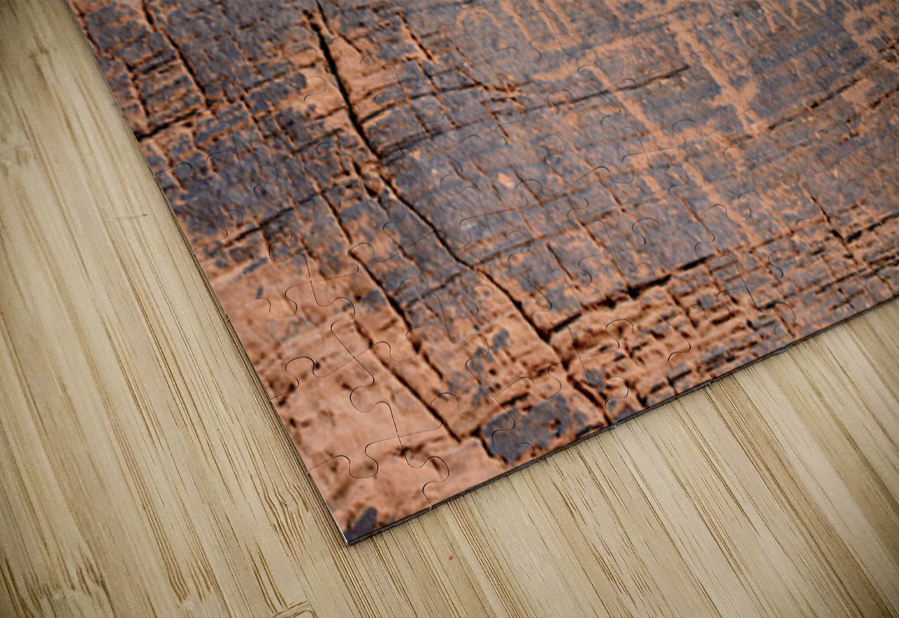 Petroglyphs in Valley of Fire State Park Nevada USA Kevin Oke Puzzle