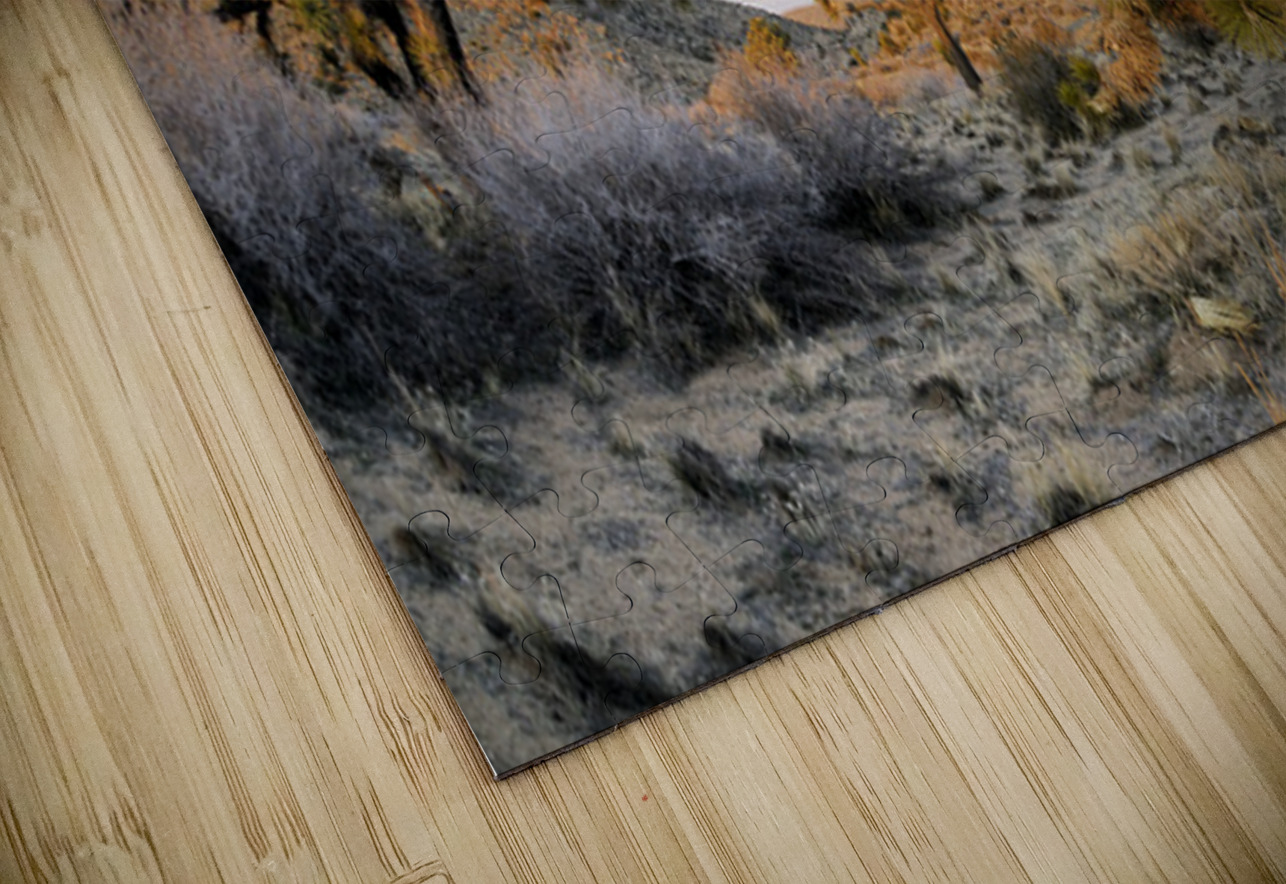 KO A11560 Kevin Oke Puzzle