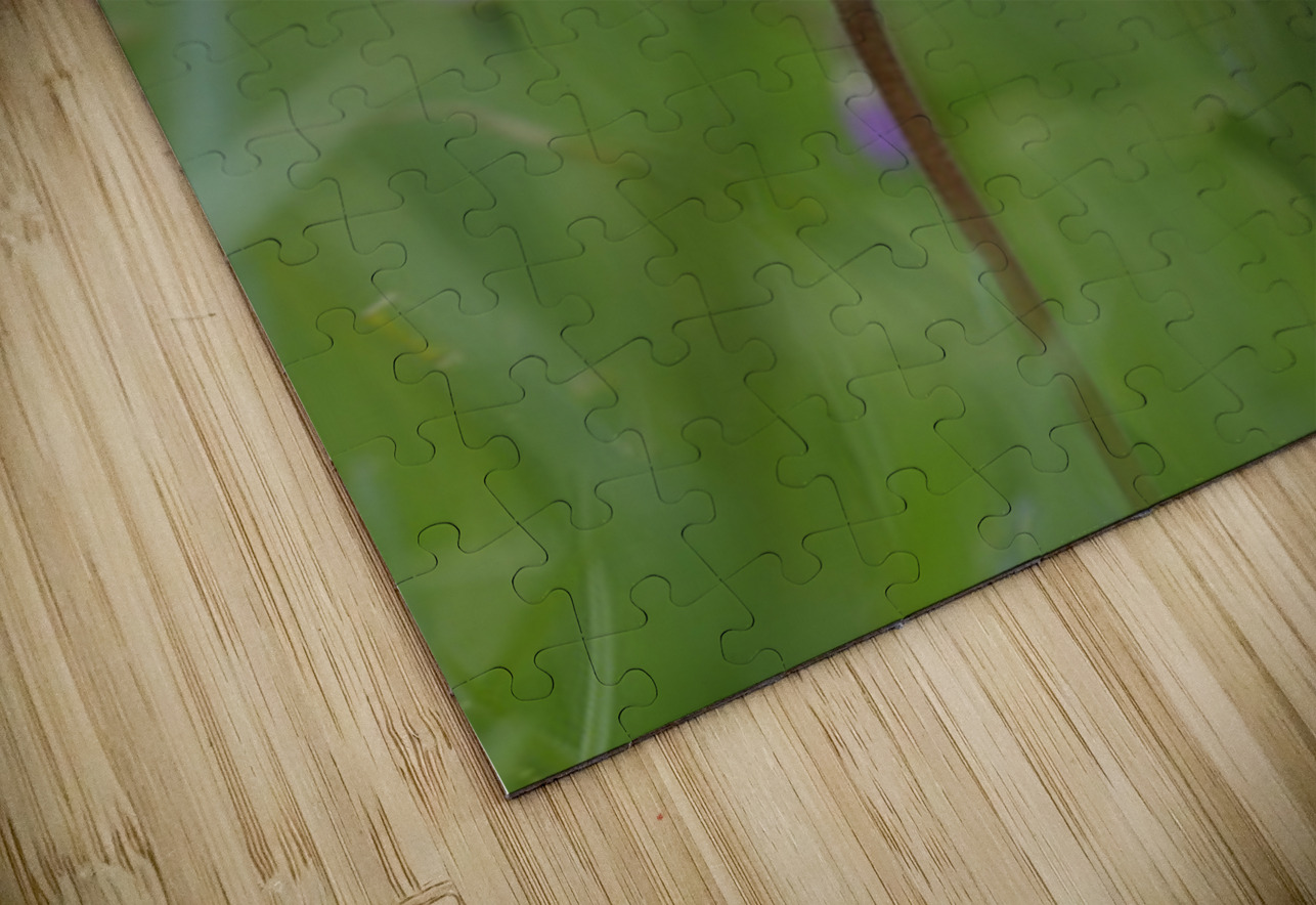 KO A18316 Kevin Oke Puzzle