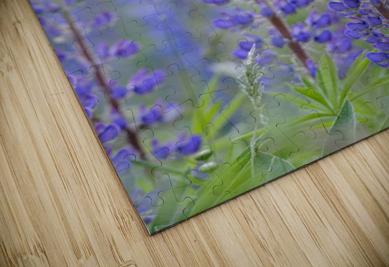 Farm in the Cowichan Valley Vancouver Island British Columbia Canada. Kevin Oke Puzzle