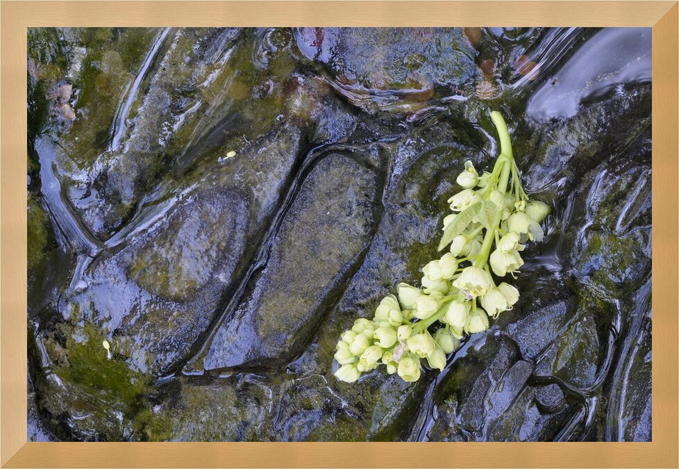 Impression de cadre personnalisé