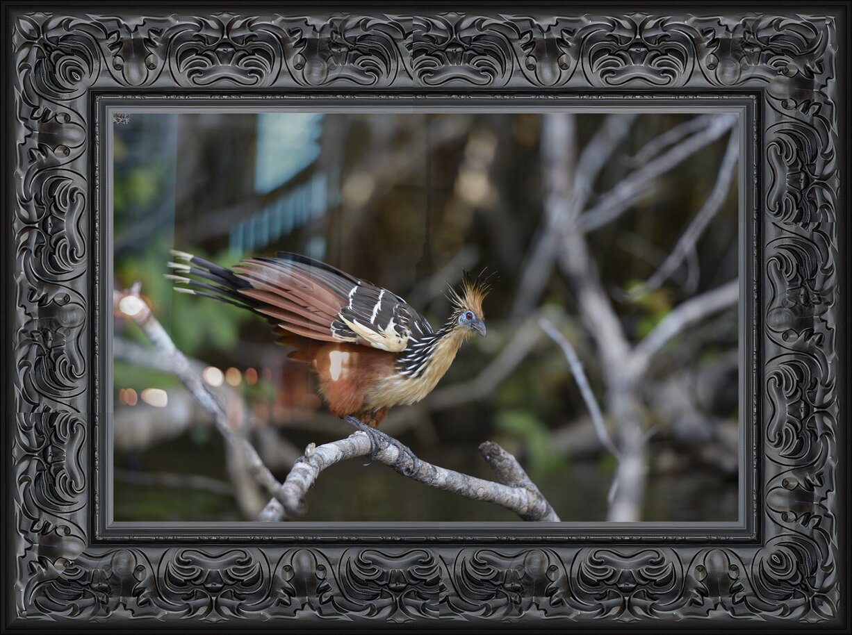 Impression de cadre personnalisé