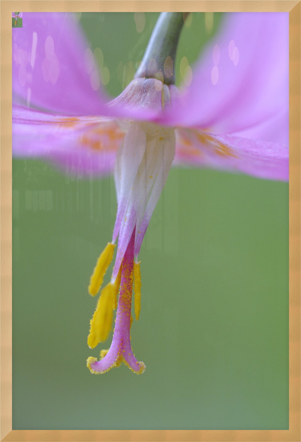 Impression de cadre personnalisé