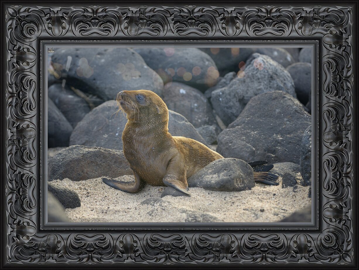 Impression de cadre personnalisé