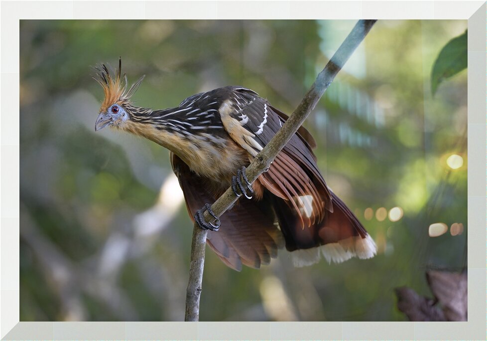 Impression de cadre personnalisé