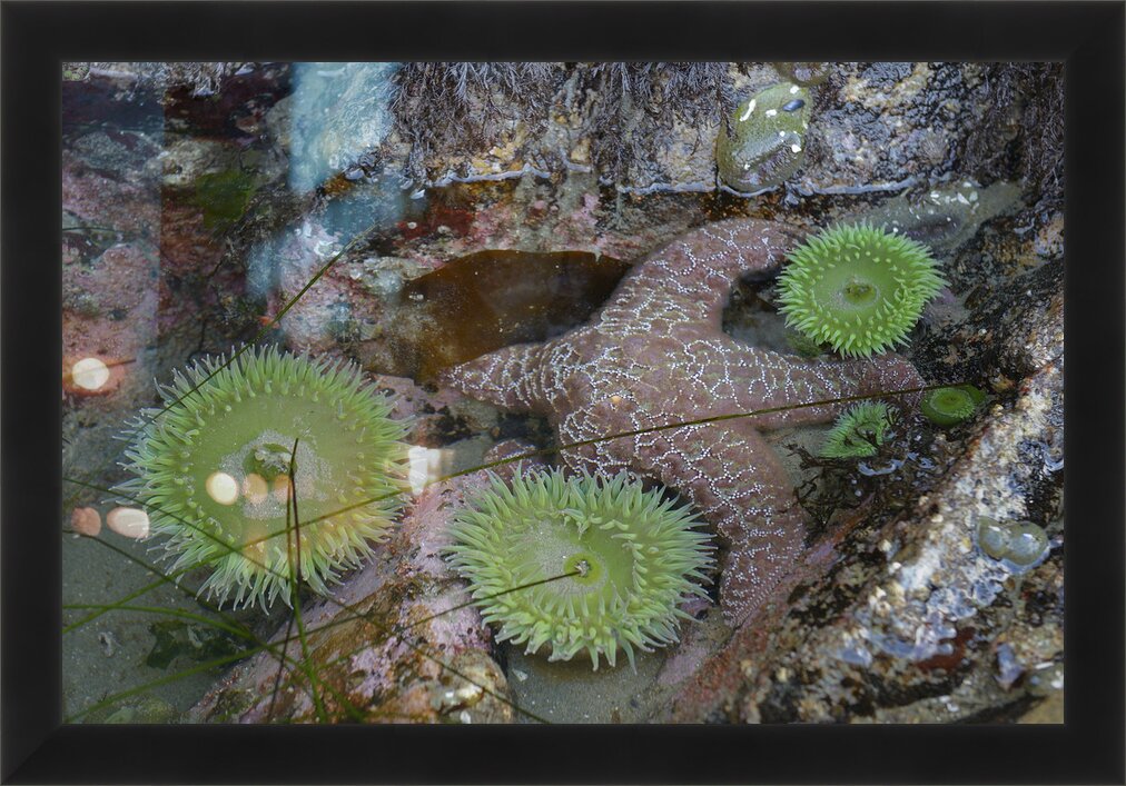 Impression de cadre personnalisé