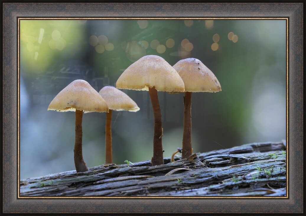 Impression de cadre personnalisé