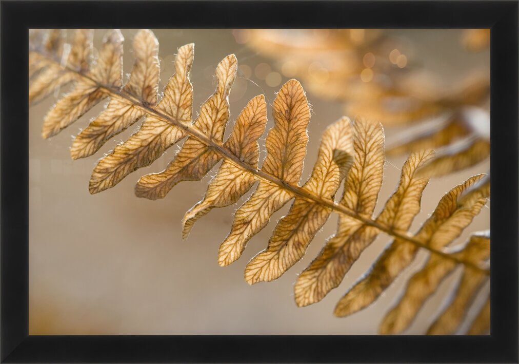 Impression de cadre personnalisé