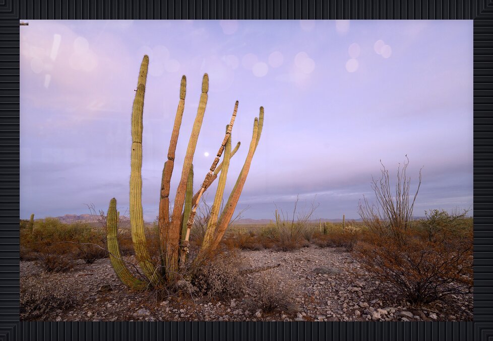 Impression de cadre personnalisé