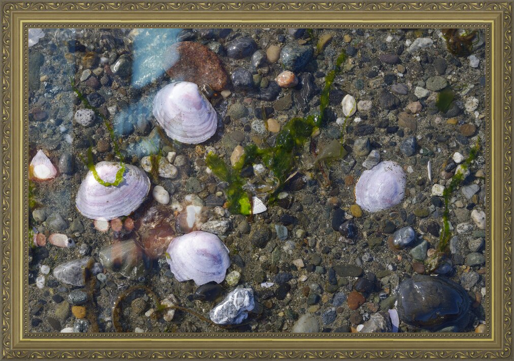 Impression de cadre personnalisé