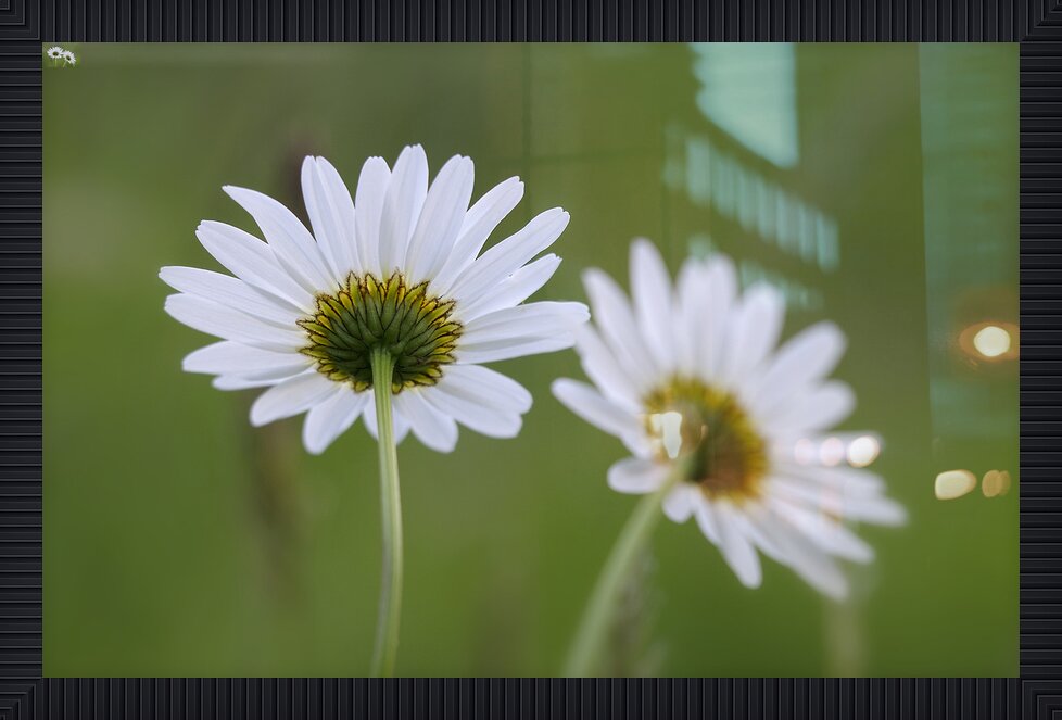 Impression de cadre personnalisé