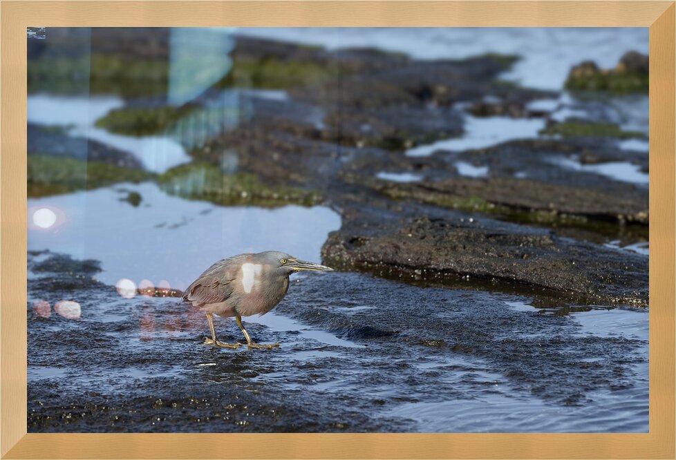 Impression de cadre personnalisé