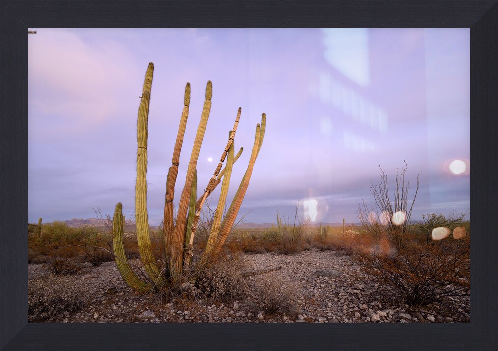 Impression de cadre personnalisé