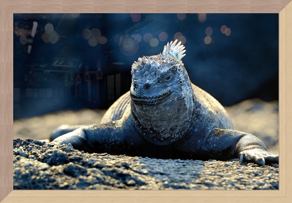 Impression de cadre personnalisé