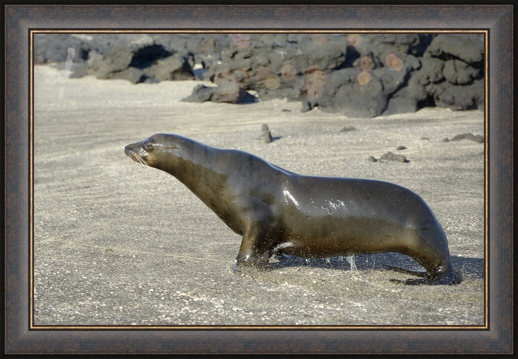 Impression de cadre personnalisé