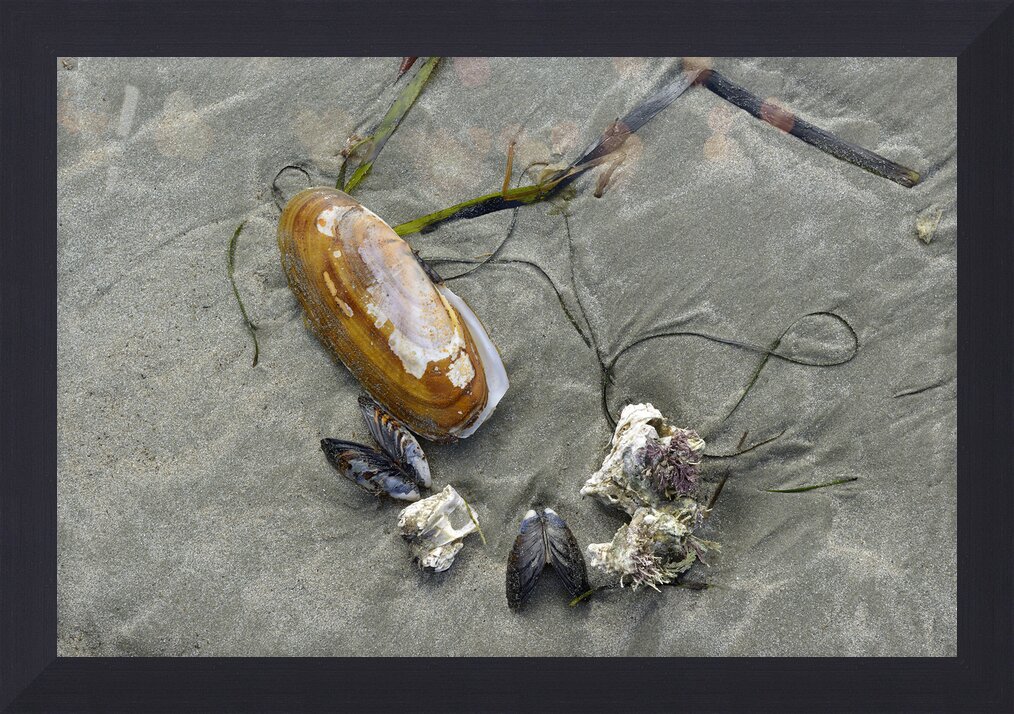 Impression de cadre personnalisé