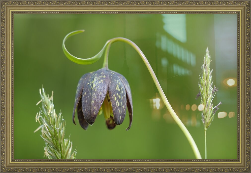 Impression de cadre personnalisé