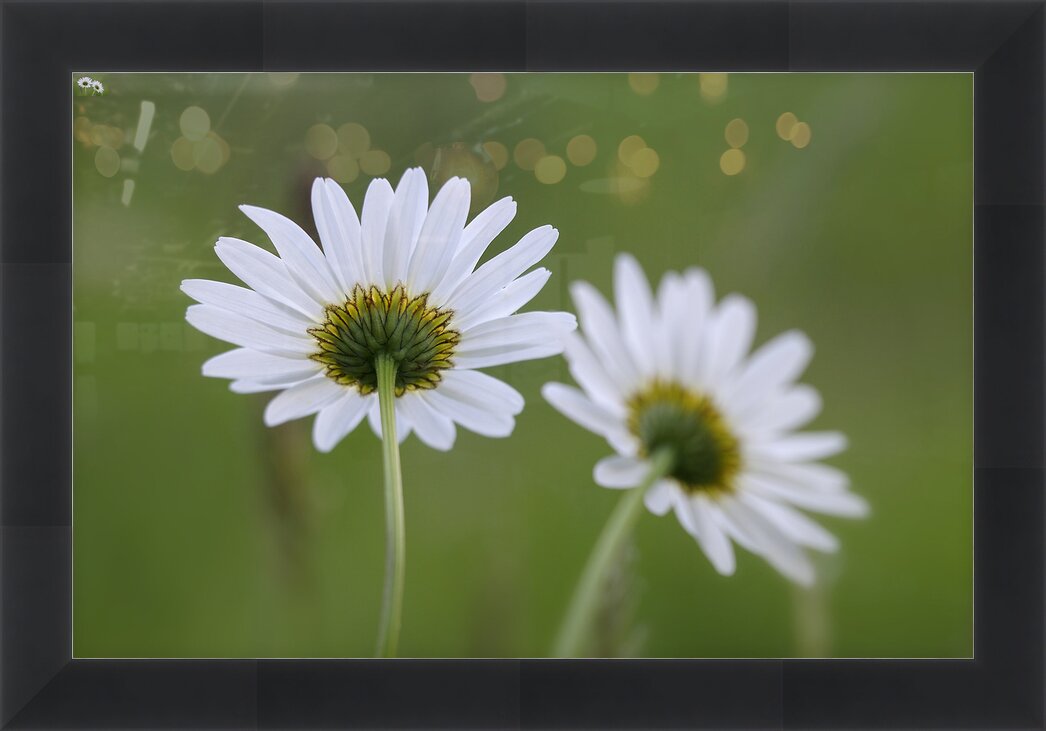 Impression de cadre personnalisé