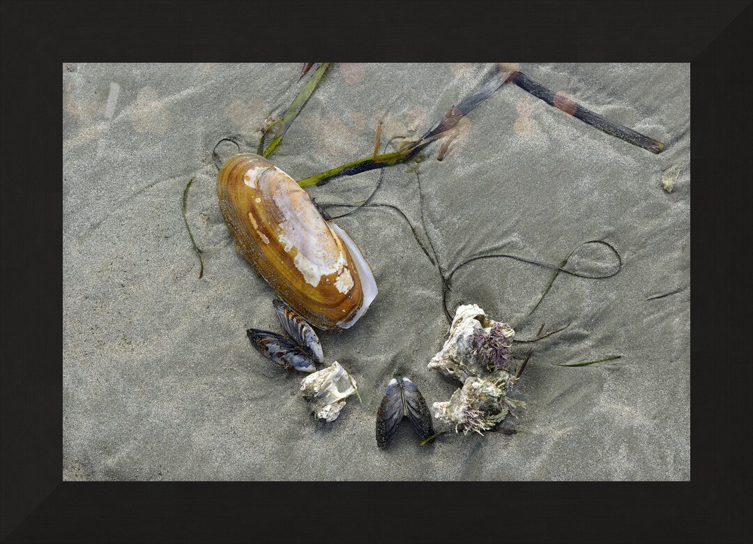 Impression de cadre personnalisé