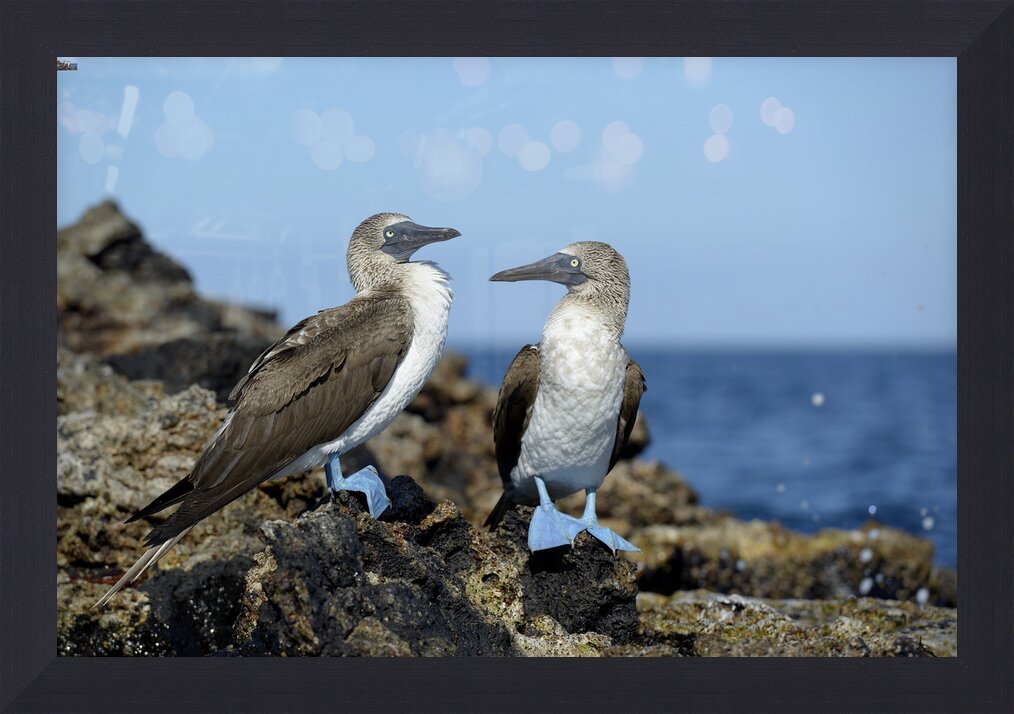 Impression de cadre personnalisé