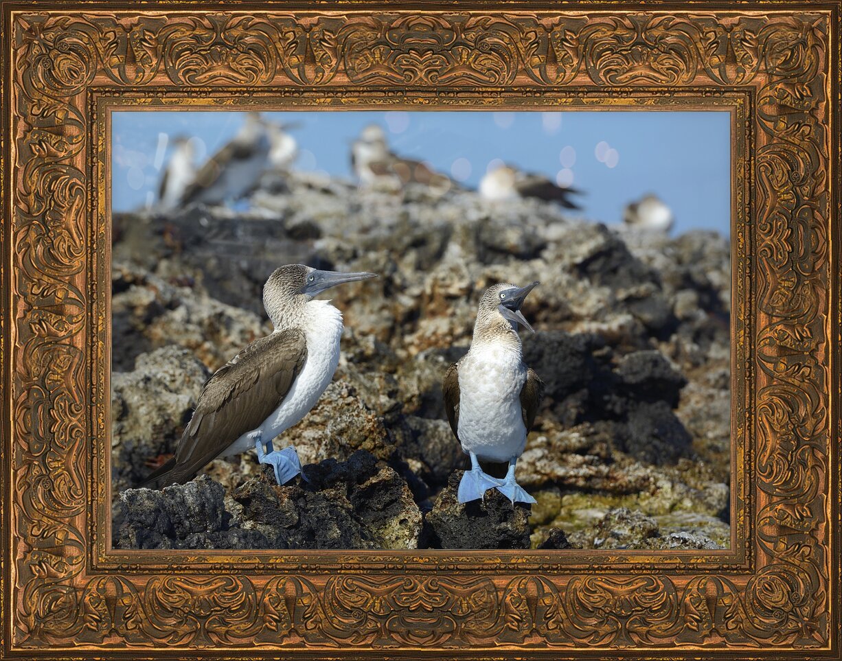 Impression de cadre personnalisé