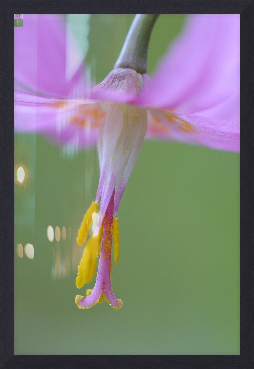 Impression de cadre personnalisé