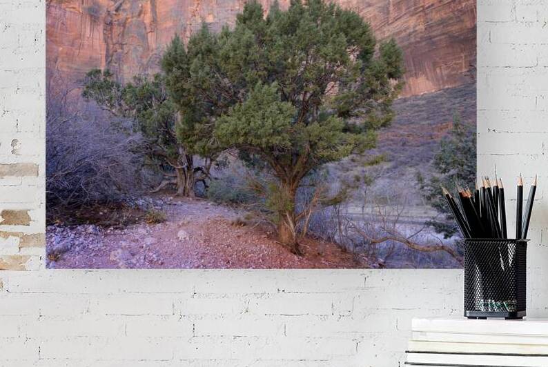 Zion National Park Utah by Kevin Oke